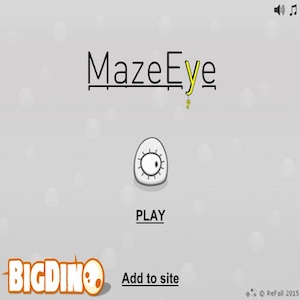 MazeEye